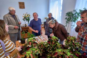 vystava_zahradkaru_Hudlice_2025-_3SH7333.jpg