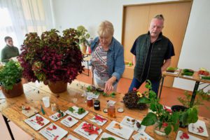 vystava_zahradkaru_Hudlice_2025-_3SH7459.jpg