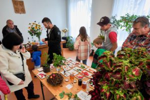 vystava_zahradkaru_Hudlice_2025-_3SH7505.jpg