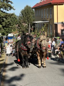 IMG_0585-rotated.jpeg