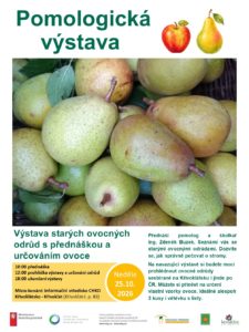 plakáty na mykologickou a pomologickou výstavu
